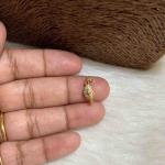 Mango Drops with single holder Charms(white and multi colour available)