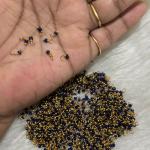 Loreals Sugar beads Royal Blue 1mm