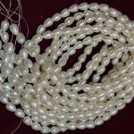 Light Cream Shade Drop Shape Pearls 10 X 7.5 mm