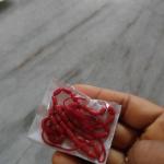 Corals Cylindrical  6.5x3.3mm
